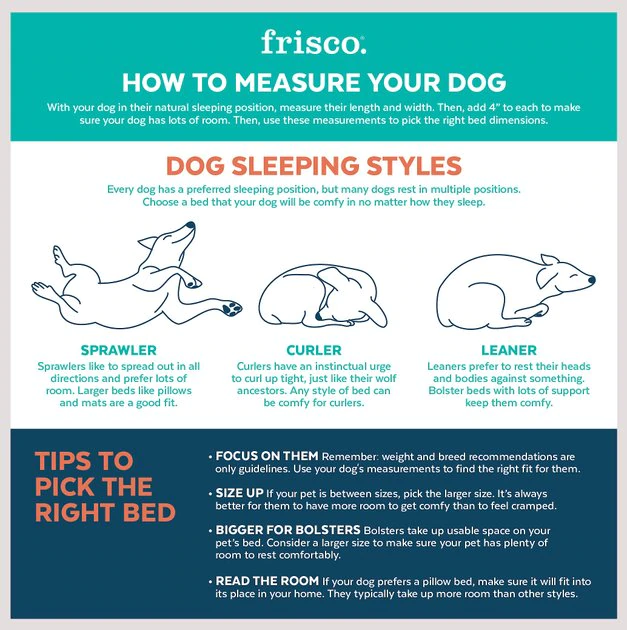 Frisco Rectangular Bolster Cat & Dog Bed 6 Frisco Rectangular Bolster Cat & Dog Bed - Image 4