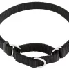 Frisco Solid Nylon Slip-On Martingale Dog Collar -Dog Cat Corner 139163 Main. SY630 V1582829023