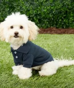 Frisco Classic Dog Polo Shirt -Dog Cat Corner 139455 PT6. SY630 V1541454212