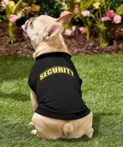 Frisco Security Dog & Cat T-Shirt 15 Frisco Security Dog & Cat T-Shirt -Dog Cat Corner 139500 PT5. SY630 V1624599163