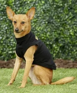 Frisco Security Dog & Cat T-Shirt 16 Frisco Security Dog & Cat T-Shirt -Dog Cat Corner 139500 PT6. SY630 V1624615676