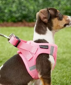 Frisco Small Breed Soft Vest Step In Back Clip Dog Harness -Dog Cat Corner 139821 PT5. SY630 V1561573781