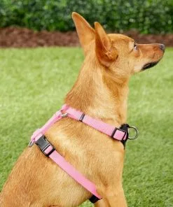 Frisco Padded Nylon No Pull Dog Harness -Dog Cat Corner 140003 PT5. SY630 V1561574033