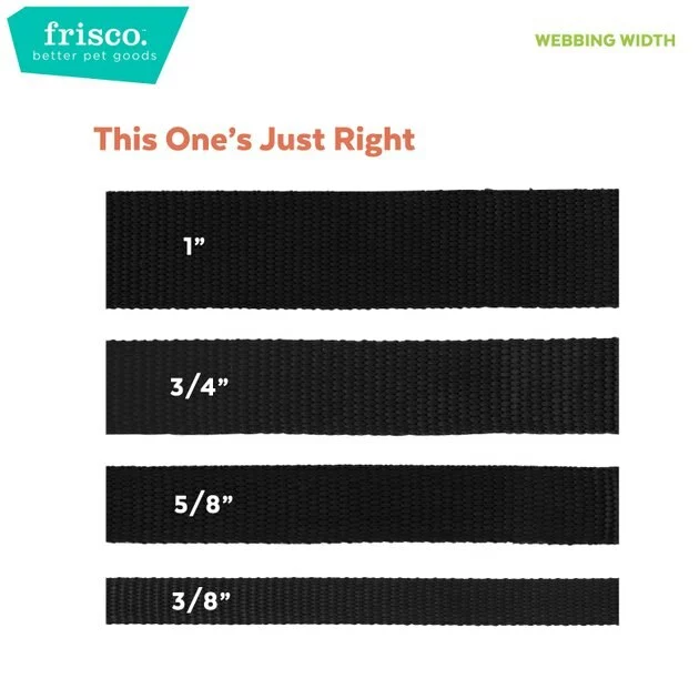 Frisco Patterned Nylon Dog Leash 6 Frisco Patterned Nylon Dog Leash - Image 4