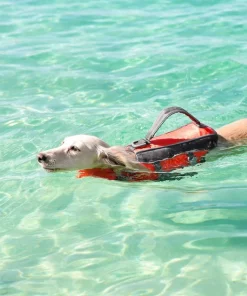 Frisco Ripstop Dog Life Jacket 19 Frisco Ripstop Dog Life Jacket -Dog Cat Corner 140916 PT8. SY630 V1540476419