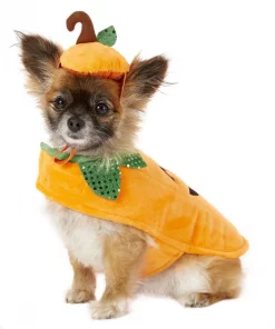 Frisco Pumpkin Dog & Cat Costume -Dog Cat Corner 144441 PT2. SY630 V1625868143