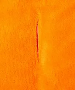 Frisco Pumpkin Dog & Cat Costume -Dog Cat Corner 144441 PT8. SY630 V1567182805