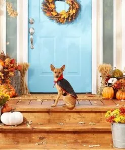 Frisco Vampire Cape Dog & Cat Costume 11 Frisco Vampire Cape Dog & Cat Costume -Dog Cat Corner 144487 PT3. SY630 V1567175264