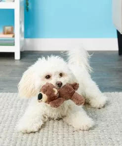 Frisco Plush Squeaking Bear Dog Toy -Dog Cat Corner 146979 PT1. SY630 V1539205036