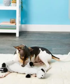 Frisco Skinny Plush Squeaking Raccoon Dog Toy -Dog Cat Corner 147045 PT1. SY630 V1539205362