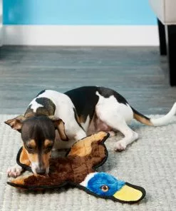 Frisco Flat Plush Squeaking Duck Dog Toy 7 Frisco Flat Plush Squeaking Duck Dog Toy -Dog Cat Corner 147069 PT2. SY630 V1589405472