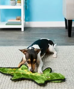 Frisco Flat Plush Squeaking Alligator Dog Toy -Dog Cat Corner 147073 PT2. SY630 V1589405461