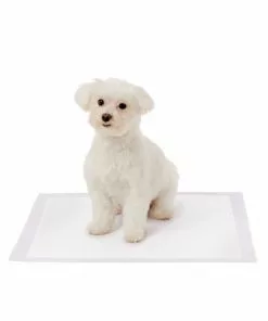 Frisco Dog Training Pads, 21 x 21-in, 100 count, Floral Scented 12 Frisco Dog Training Pads, 21 x 21-in, 100 count, Floral Scented -Dog Cat Corner 149818 PT3. SY630 V1624495686