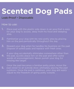 Frisco Dog Training Pads, 21 x 21-in, 100 count, Floral Scented 14 Frisco Dog Training Pads, 21 x 21-in, 100 count, Floral Scented -Dog Cat Corner 149818 PT5. SY630 V1624497465