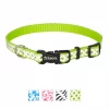 Frisco Patterned Polyester Reflective Dog Collar -Dog Cat Corner 151018 MAIN. SY630 V1619126216