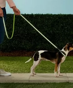 Frisco Patterned Nylon Reflective Dog Leash -Dog Cat Corner 151035 PT4. SY630 V1628029029