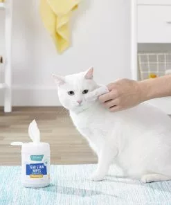 Frisco Moisturizing Tear Stain Wipes with Aloe for Dogs & Cats -Dog Cat Corner 152585 PT5. SY630 V1556122637