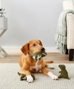 Frisco Hide & Seek Plush Volcano Puzzle Dog Toy Refills, 3-pack 7 Frisco Hide & Seek Plush Volcano Puzzle Dog Toy Refills, 3-pack -Dog Cat Corner 152814 PT2. SY630 V1549657048