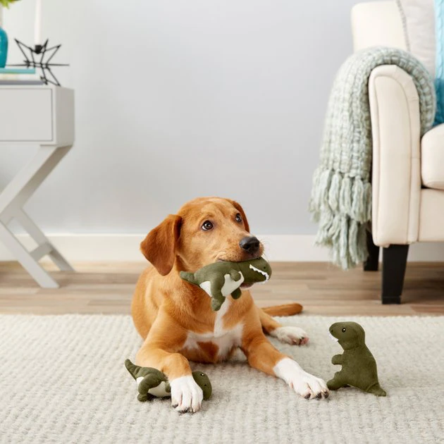 Frisco Hide & Seek Plush Volcano Puzzle Dog Toy Refills, 3-pack 5 Frisco Hide & Seek Plush Volcano Puzzle Dog Toy Refills, 3-pack - Image 3