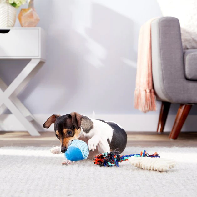 Frisco Hide & Seek Plush Chewy Box Puzzle Dog Toy Refills 5 Frisco Hide & Seek Plush Chewy Box Puzzle Dog Toy Refills - Image 3