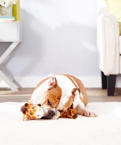 Frisco Bungee Plush Squeaking Giraffe Dog Toy -Dog Cat Corner 152822 PT3. SY630 V1549654950