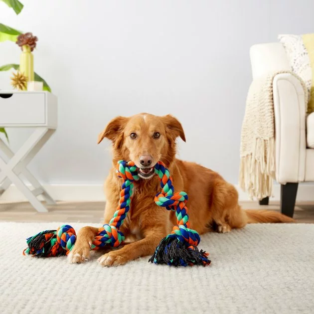Frisco Rope with 5 Knots Dog Toy 5 Frisco Rope with 5 Knots Dog Toy - Image 3