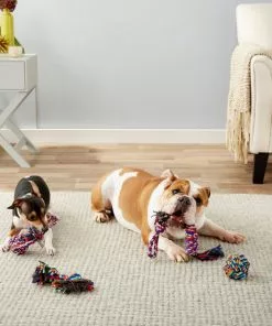 Frisco Rope Multipack for Small to Medium Dog Toys, 4 count -Dog Cat Corner 152838 PT2. SY630 V1549655022