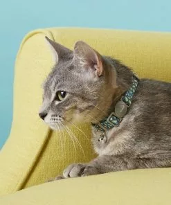 Frisco Pineapple Polyester Breakaway Cat Collar with Bell -Dog Cat Corner 153158 PT1. SY630 V1568380054