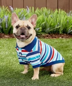 Frisco Striped Dog & Cat Polo Shirt, Red & Blue -Dog Cat Corner 153589 PT6. SY630 V1624902158