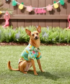 Frisco Pineapple Hawaiian Camp Dog & Cat Shirt -Dog Cat Corner 153596 PT7. SY630 V1644884316