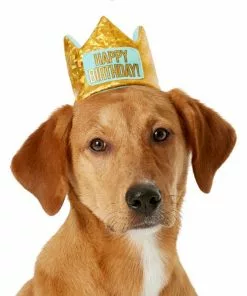 Frisco Happy Birthday Dog & Cat Crown