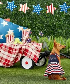 Frisco American Cutie Dog & Cat Sundress 11 Frisco American Cutie Dog & Cat Sundress -Dog Cat Corner 153735 PT4. SY630 V1633126624