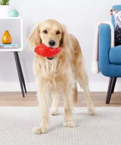 Frisco Squeaky Football Dog Toy -Dog Cat Corner 154412 PT2. SY630 V1560352780