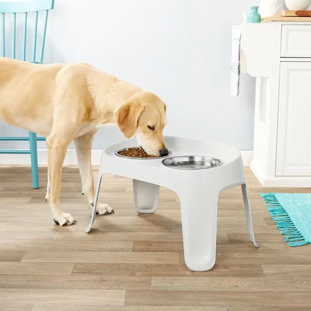 Frisco Elevated Dog Diner, 8 Cup 6 Frisco Elevated Dog Diner, 8 Cup - Image 4