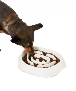 Frisco Non-Skid Slow Feeder Dog & Small Pet Bowl