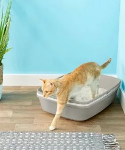 Frisco Sifting Cat Litter Box, Large, 22-in