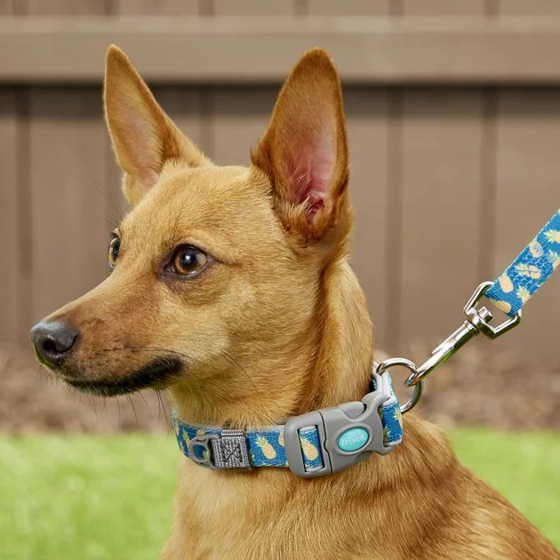 Frisco Patterned Neoprene Dog Leash 4 Frisco Patterned Neoprene Dog Leash - Image 2