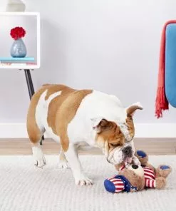 X-Frisco Plush Squeaking American Flag Bear Dog Toy, 2020 -Dog Cat Corner 157187 PT2. SY630 V1559764047