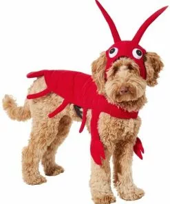 Frisco Red Lobster Dog & Cat Costume -Dog Cat Corner 158722 PT2. SY630 V1659023725