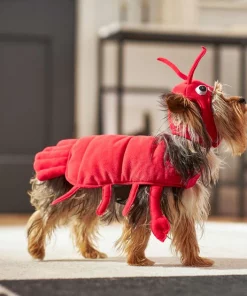 Frisco Red Lobster Dog & Cat Costume -Dog Cat Corner 158722 PT6. SY630 V1659023722