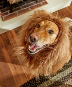 Frisco Lion Mane Dog & Cat Costume 15 Frisco Lion Mane Dog & Cat Costume -Dog Cat Corner 158731 PT8. SY630 V1599139860
