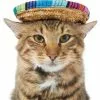 Frisco Dog & Cat Sombrero Hat 1 Frisco Dog & Cat Sombrero Hat -Dog Cat Corner 158881 MAIN. SY630 V1625076472