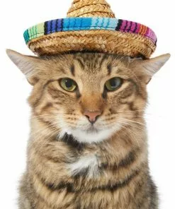 Frisco Dog & Cat Sombrero Hat