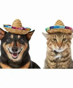 Frisco Dog & Cat Sombrero Hat -Dog Cat Corner 158881 PT2. SY630 V1625076485