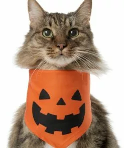 Frisco Jack O' Lantern Pumpkin Dog & Cat Hoodie -Dog Cat Corner 158886 PT2. SY630 V1637668889