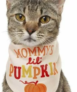 Frisco Mommy's Lil Pumpkin Dog & Cat Bandana -Dog Cat Corner 158936 PT2. SY630 V1633073776