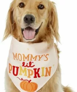 Frisco Mommy's Lil Pumpkin Dog & Cat Bandana -Dog Cat Corner 158936 PT3. SY630 V1633078003