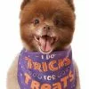 Frisco I Do Tricks For Treats Dog & Cat Bandana 2 Frisco I Do Tricks For Treats Dog & Cat Bandana -Dog Cat Corner 158938 MAIN. SY630 V1633728989