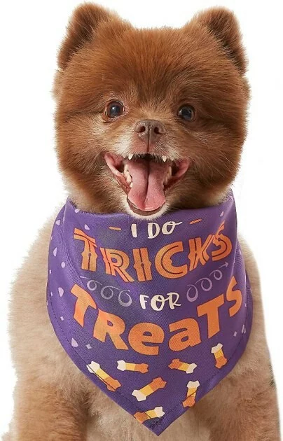 Frisco I Do Tricks For Treats Dog & Cat Bandana 6 Frisco I Do Tricks For Treats Dog & Cat Bandana - Image 4