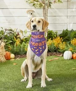 Frisco I Do Tricks For Treats Dog & Cat Bandana 11 Frisco I Do Tricks For Treats Dog & Cat Bandana -Dog Cat Corner 158938 PT4. SY630 V1633069923